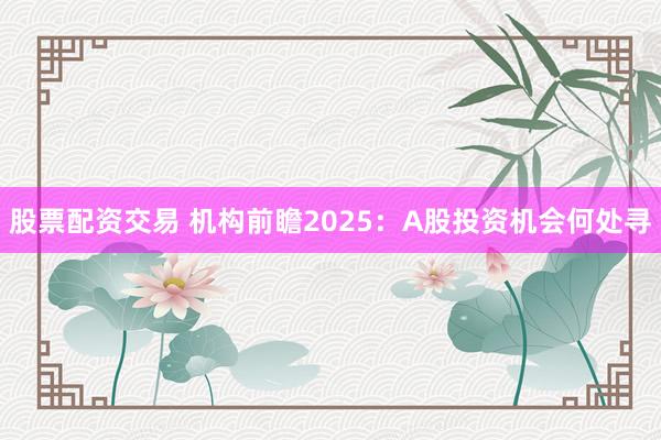 股票配资交易 机构前瞻2025：A股投资机会何处寻