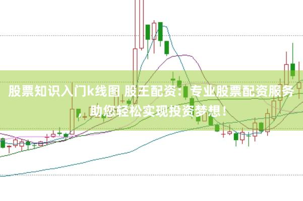 股票知识入门k线图 股王配资：专业股票配资服务，助您轻松实现投资梦想！
