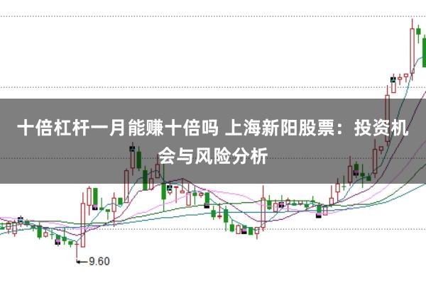 十倍杠杆一月能赚十倍吗 上海新阳股票：投资机会与风险分析