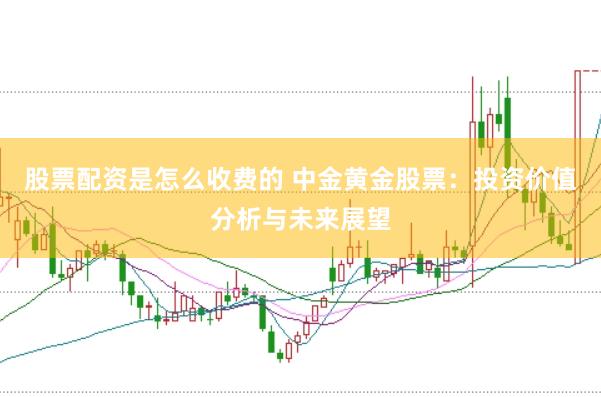 股票配资是怎么收费的 中金黄金股票：投资价值分析与未来展望