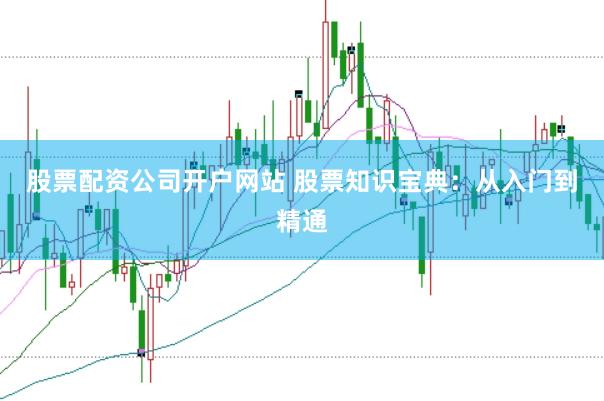 股票配资公司开户网站 股票知识宝典：从入门到精通