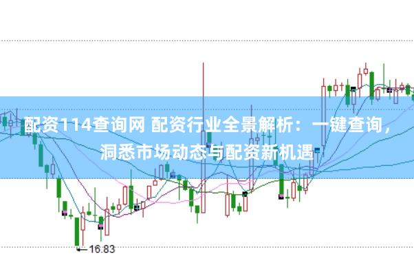 配资114查询网 配资行业全景解析：一键查询，洞悉市场动态与配资新机遇