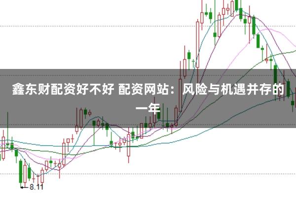 鑫东财配资好不好 配资网站：风险与机遇并存的一年
