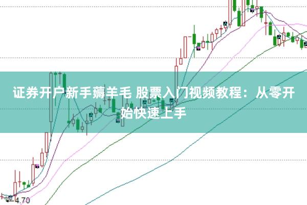 证券开户新手薅羊毛 股票入门视频教程：从零开始快速上手