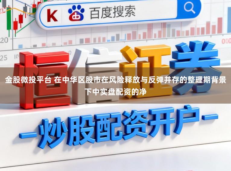 金股微投平台 在中华区股市在风险释放与反弹并存的整理期背景下中实盘配资的净