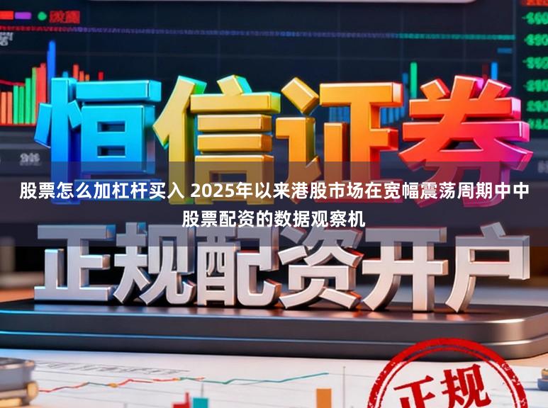 股票怎么加杠杆买入 2025年以来港股市场在宽幅震荡周期中中股票配资的数据观察机